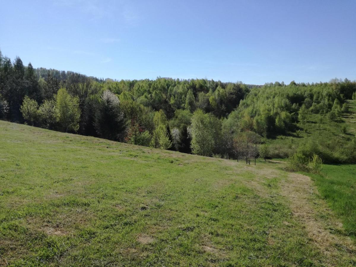 Domek Z Widokiem Sanok Buitenkant foto